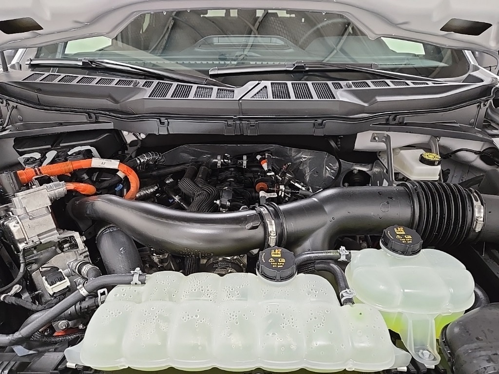 Used 2025 Ford F-150 XLT Truck