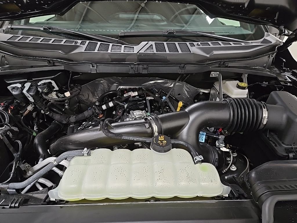 Used 2025 Ford F-150 XLT Truck