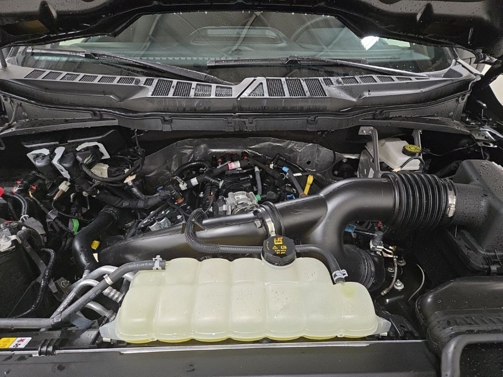 Used 2026 Ford F-150 XLT Truck