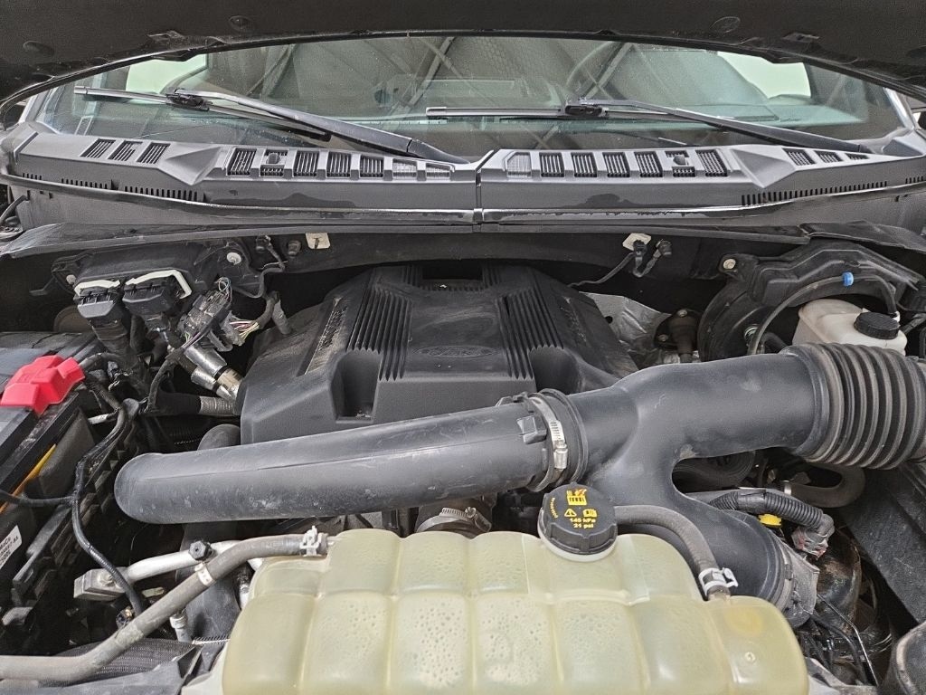 Used 2019 Ford F-150 XLT Truck