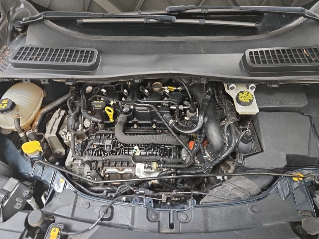 Used 2019 Ford Escape SEL SUV