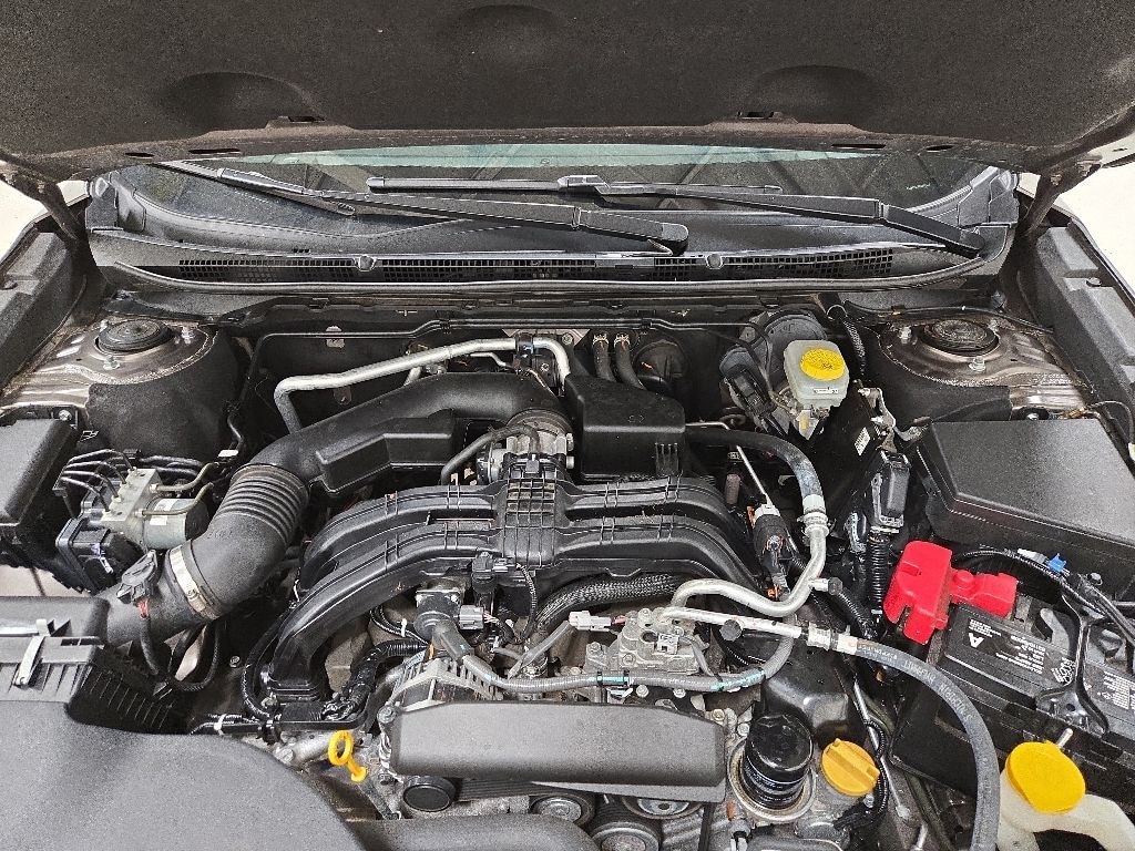 Used 2024 Subaru Outback Premium SUV