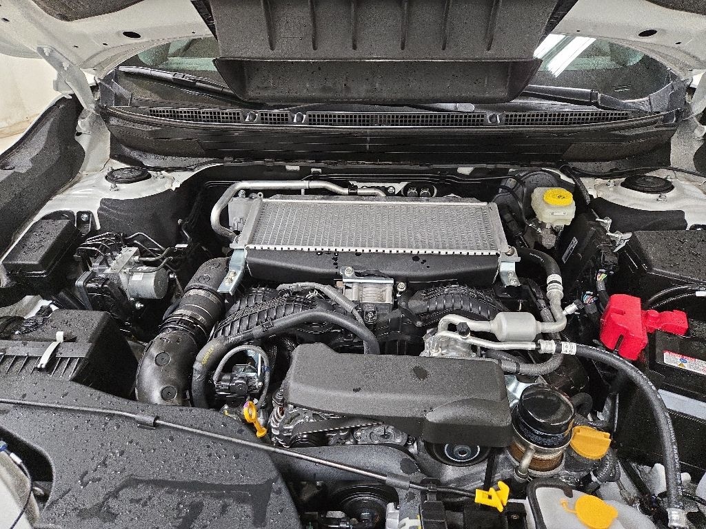 Certified 2026 Subaru Outback Wilderness SUV