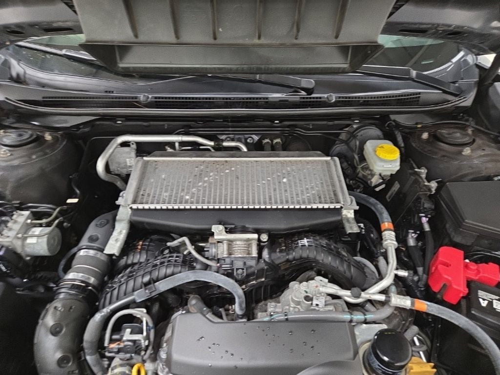 Certified 2025 Subaru Outback Wilderness SUV