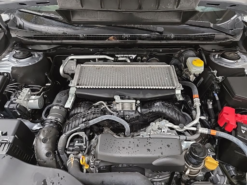 Certified 2025 Subaru Outback Wilderness SUV