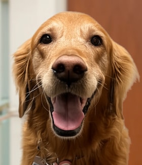 Staff member Cedar from ID_30a9c7