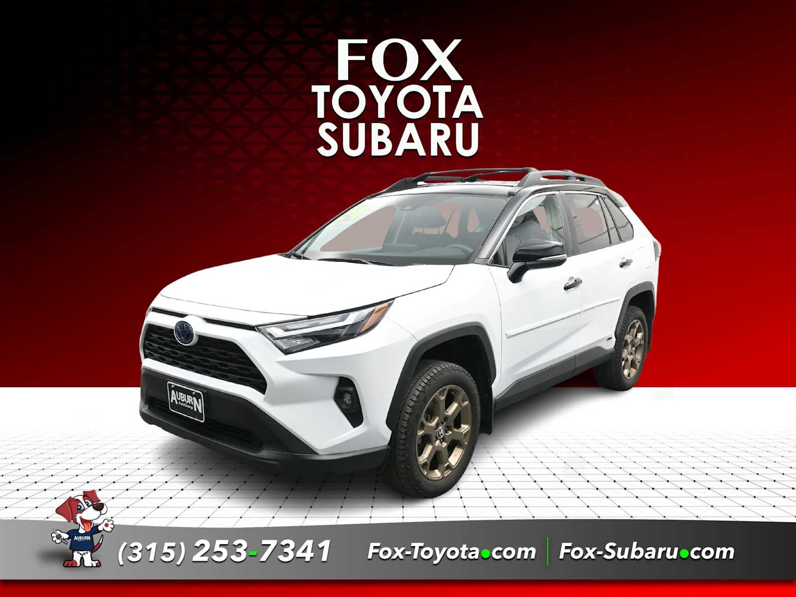 2024 Toyota RAV4