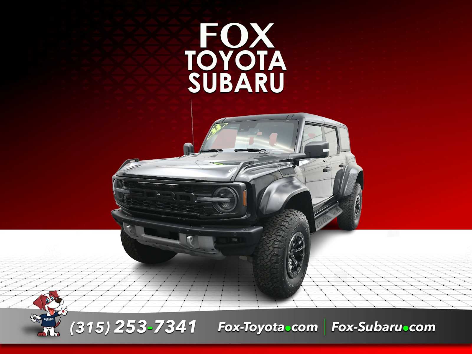  Ford Bronco