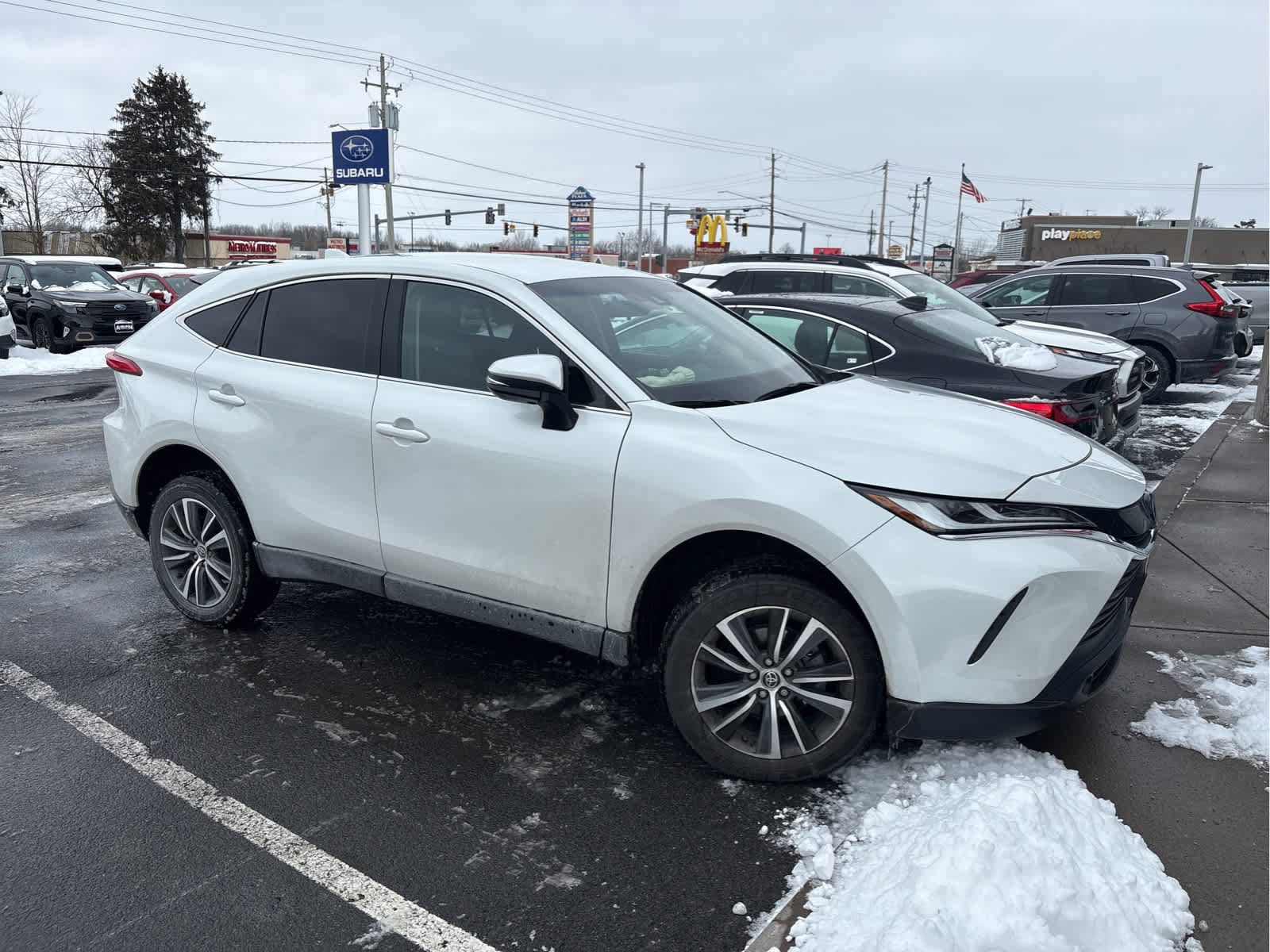 2023 Toyota Venza LE