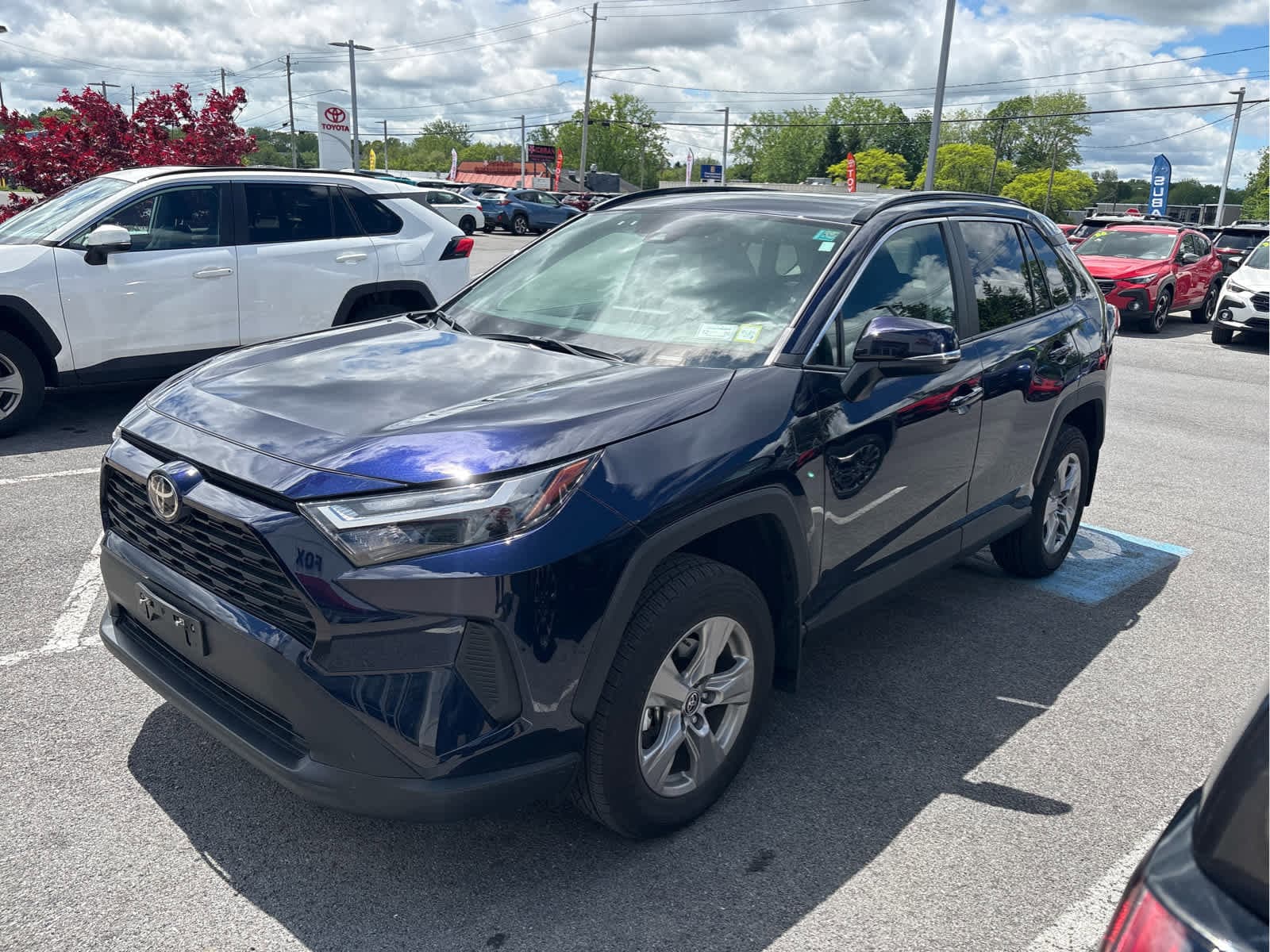 2025 Toyota RAV4 XLE AWD's photo