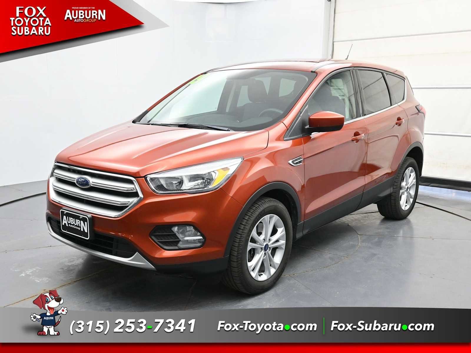 Used 2019 Ford Escape SE with VIN 1FMCU9GD1KUC17756 for sale in Auburn, NY