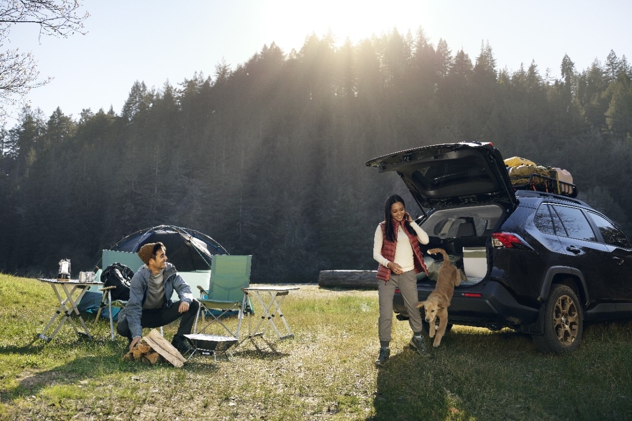 Leave Your Toyota in Great Hands