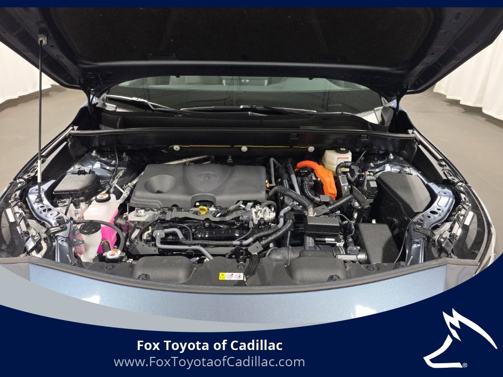 2024 Toyota Venza LE photo 4