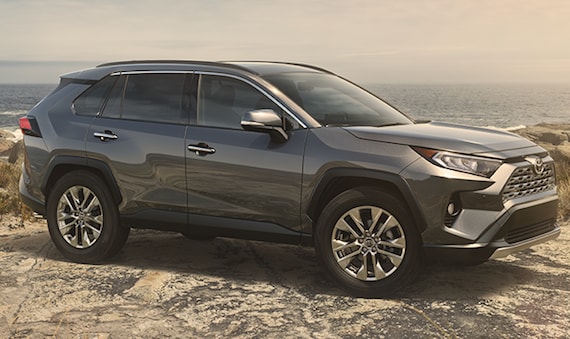 A gold 2019 RAV4 parked by the ocean