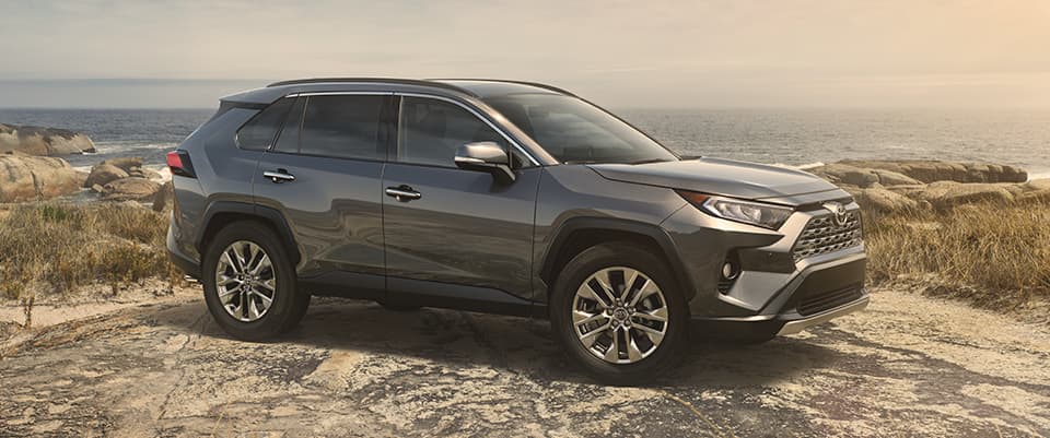 2019 Toyota RAV4 A grey 2019 Toyota RAV4 parked on an ocean overlook
