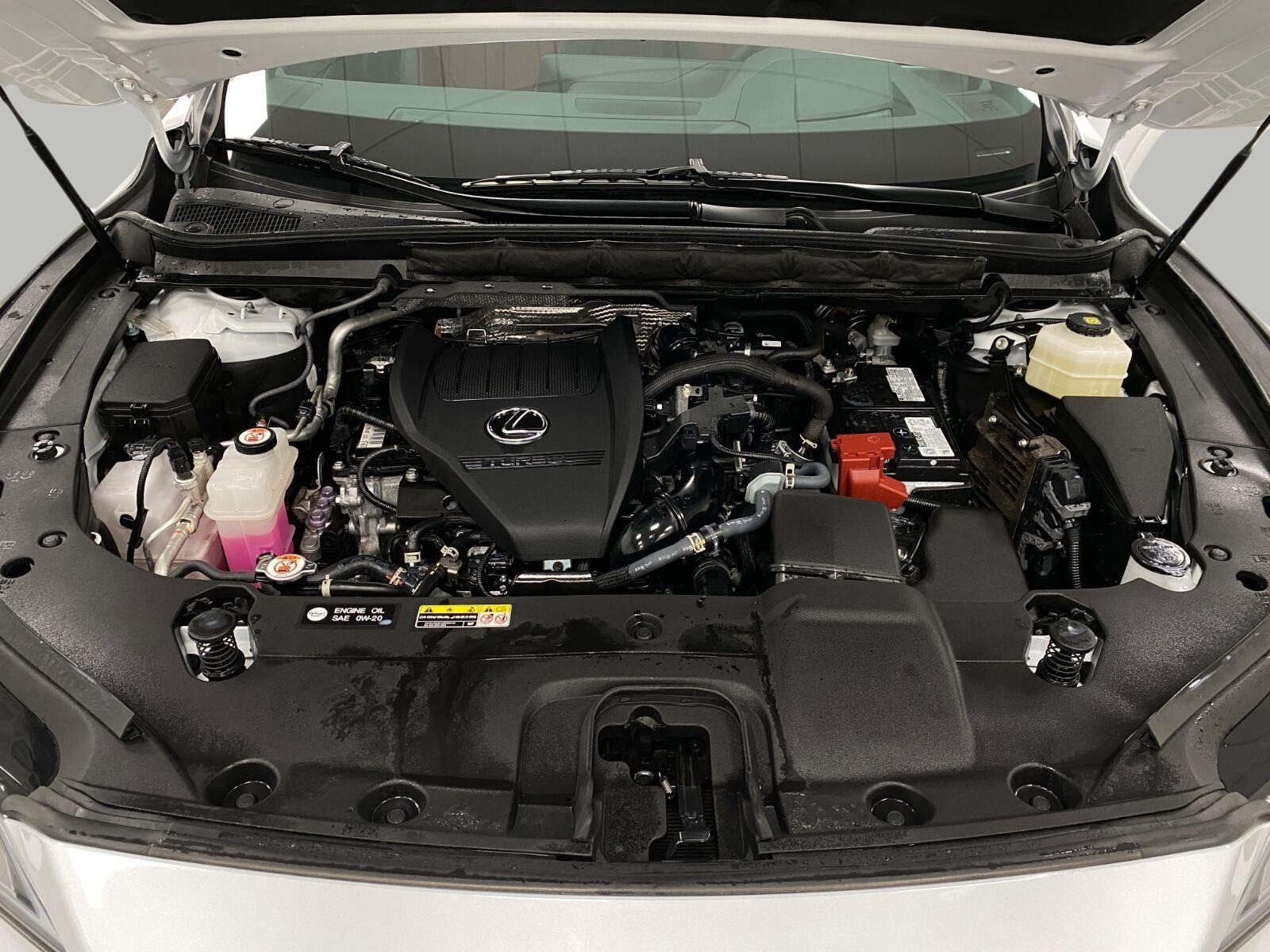 2024 Lexus RX 350 F SPORT - Photo 12