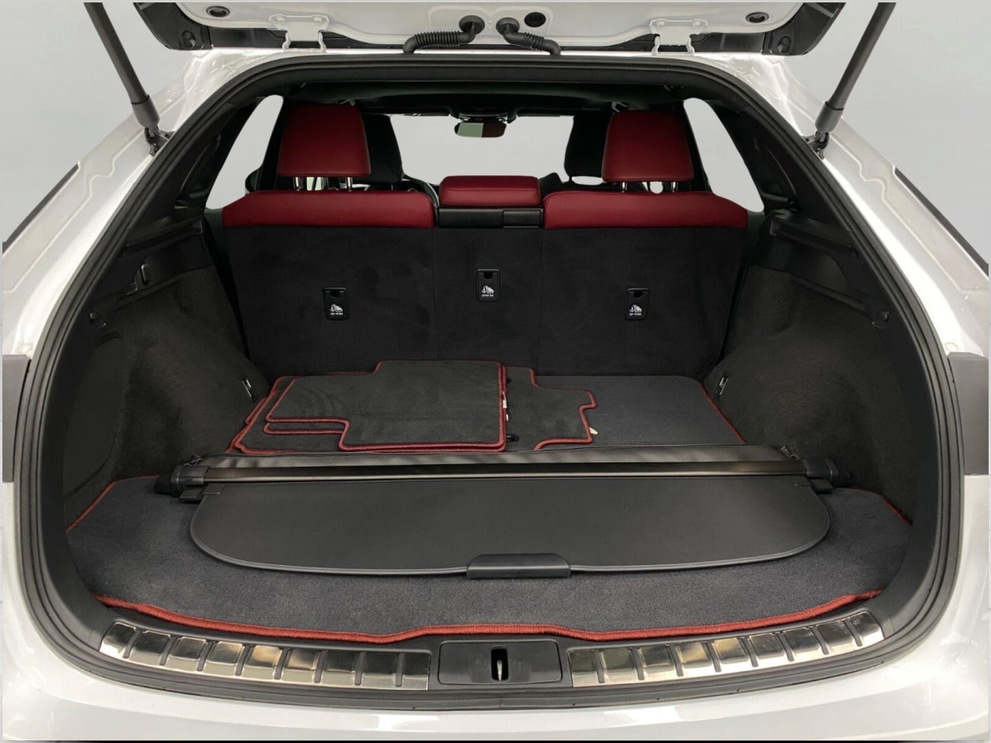 2024 Lexus RX 350 F SPORT - Photo 6