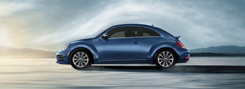 Beetle driving across water