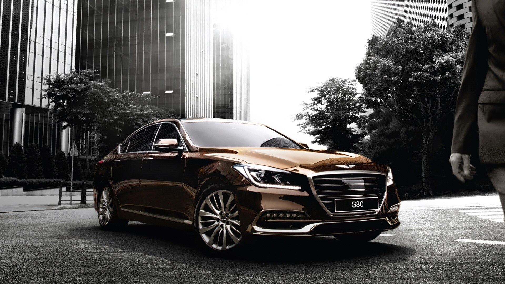 genesis.com genesis-g80-feature-00-overview-01-safety.jpg
