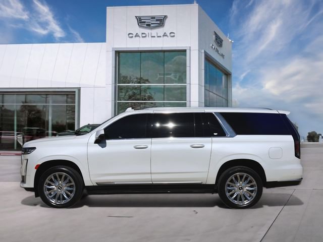 2024 Cadillac Escalade ESV Premium Luxury photo 3
