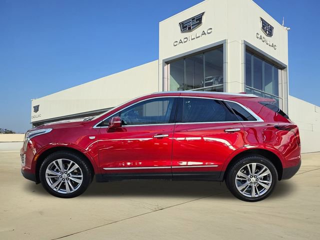 2024 Cadillac XT5 Premium Luxury photo 3
