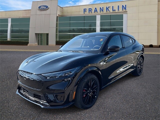 2025 Ford Mustang Mach-E Premium photo 3