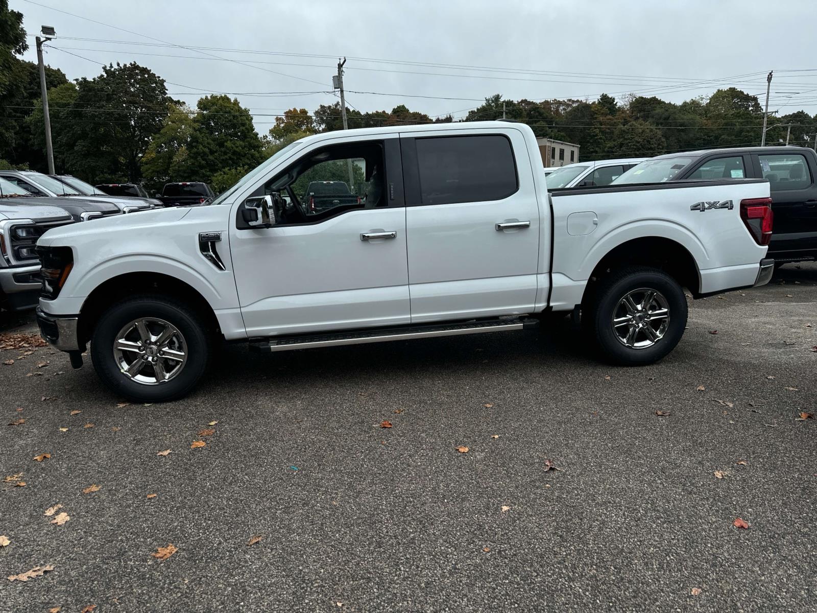 2024 Ford F-150 XLT 2