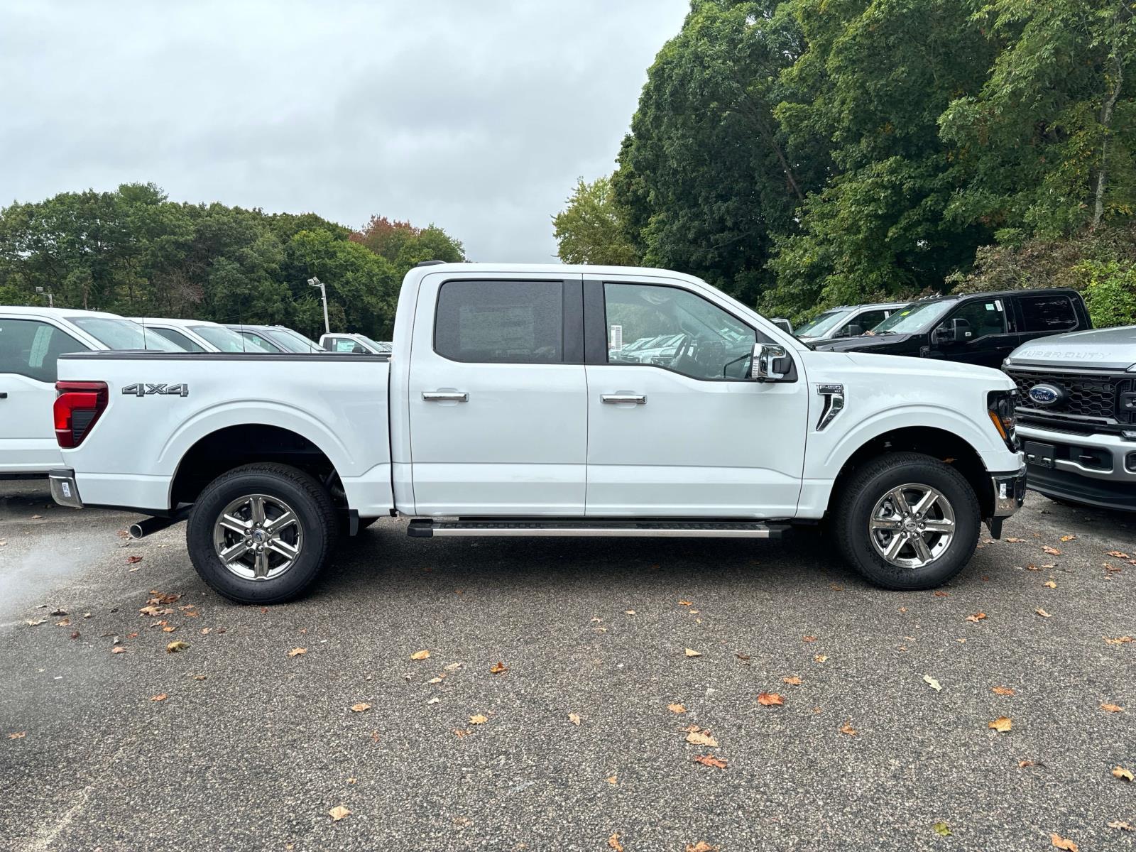 2024 Ford F-150 XLT 4