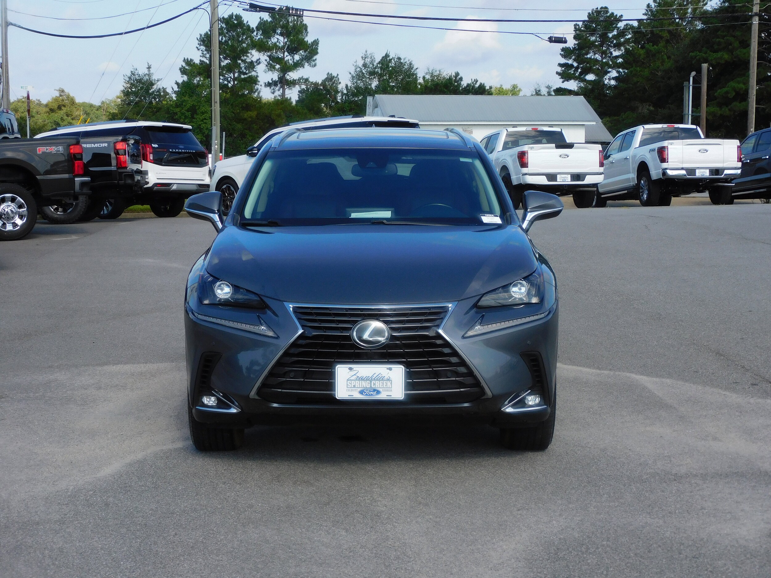 2018 Lexus NX 300 Luxury photo 3