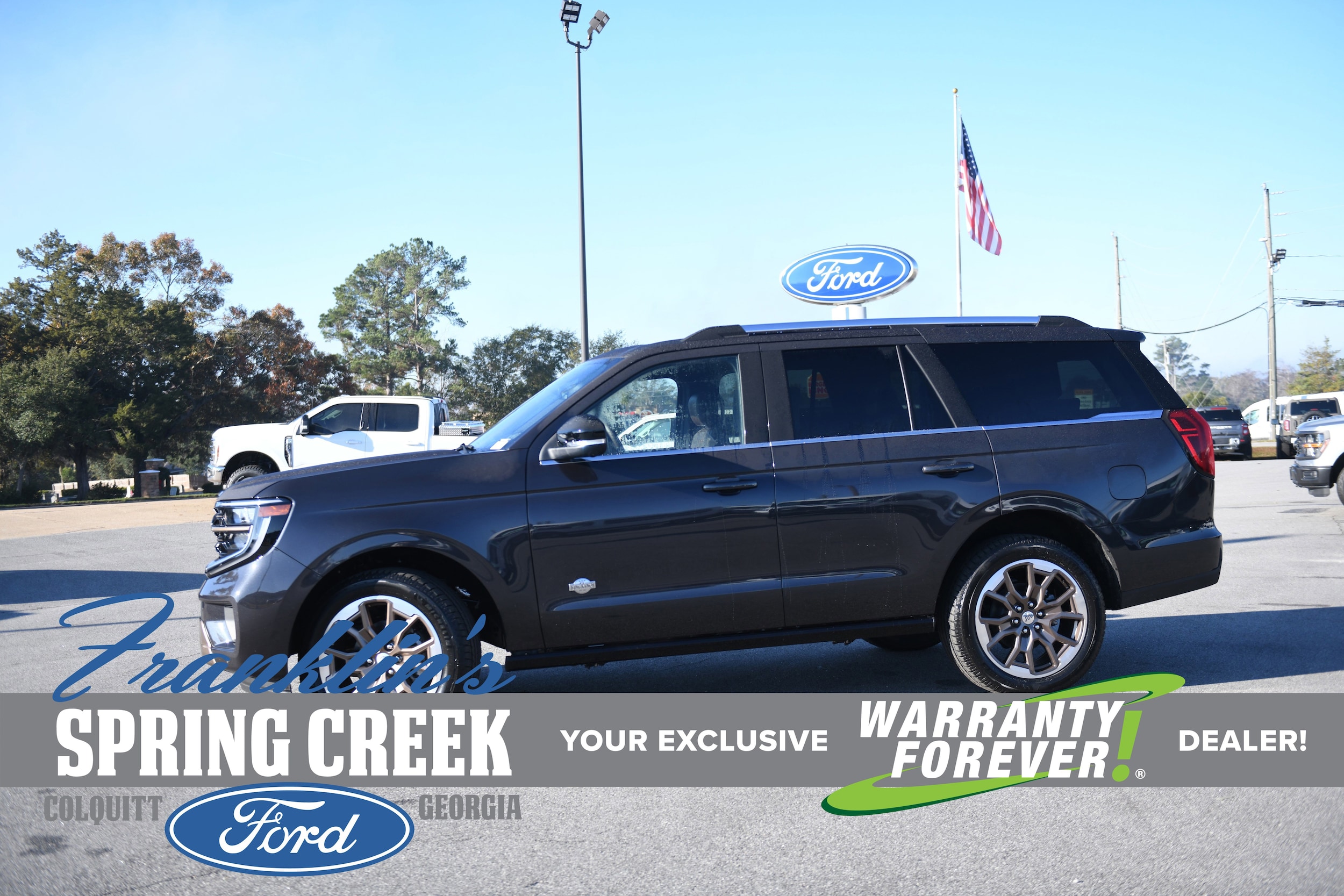 2025 Ford Expedition King Ranch's photo