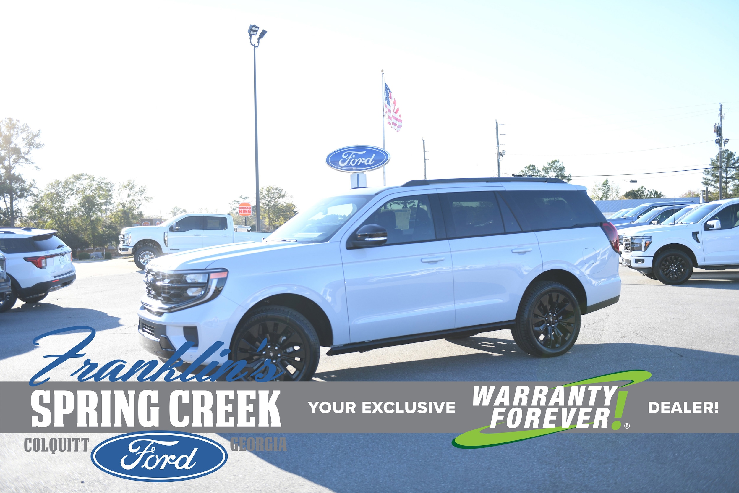 2025 Ford Expedition Platinum's photo