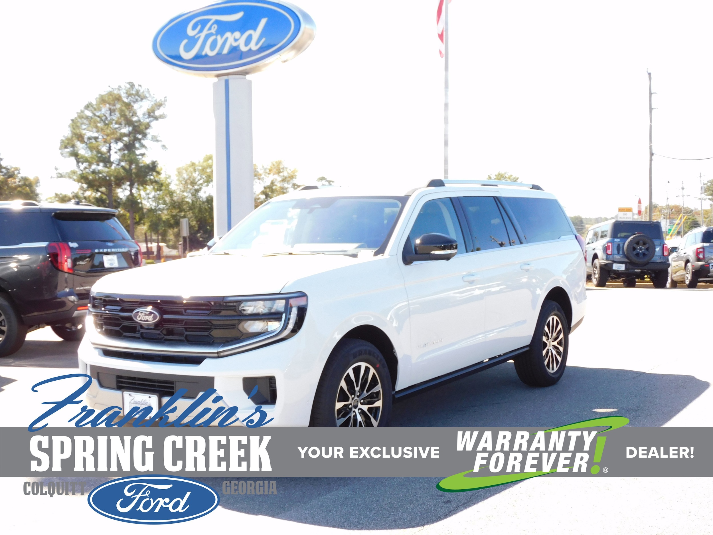 2025 Ford Expedition Platinum's photo