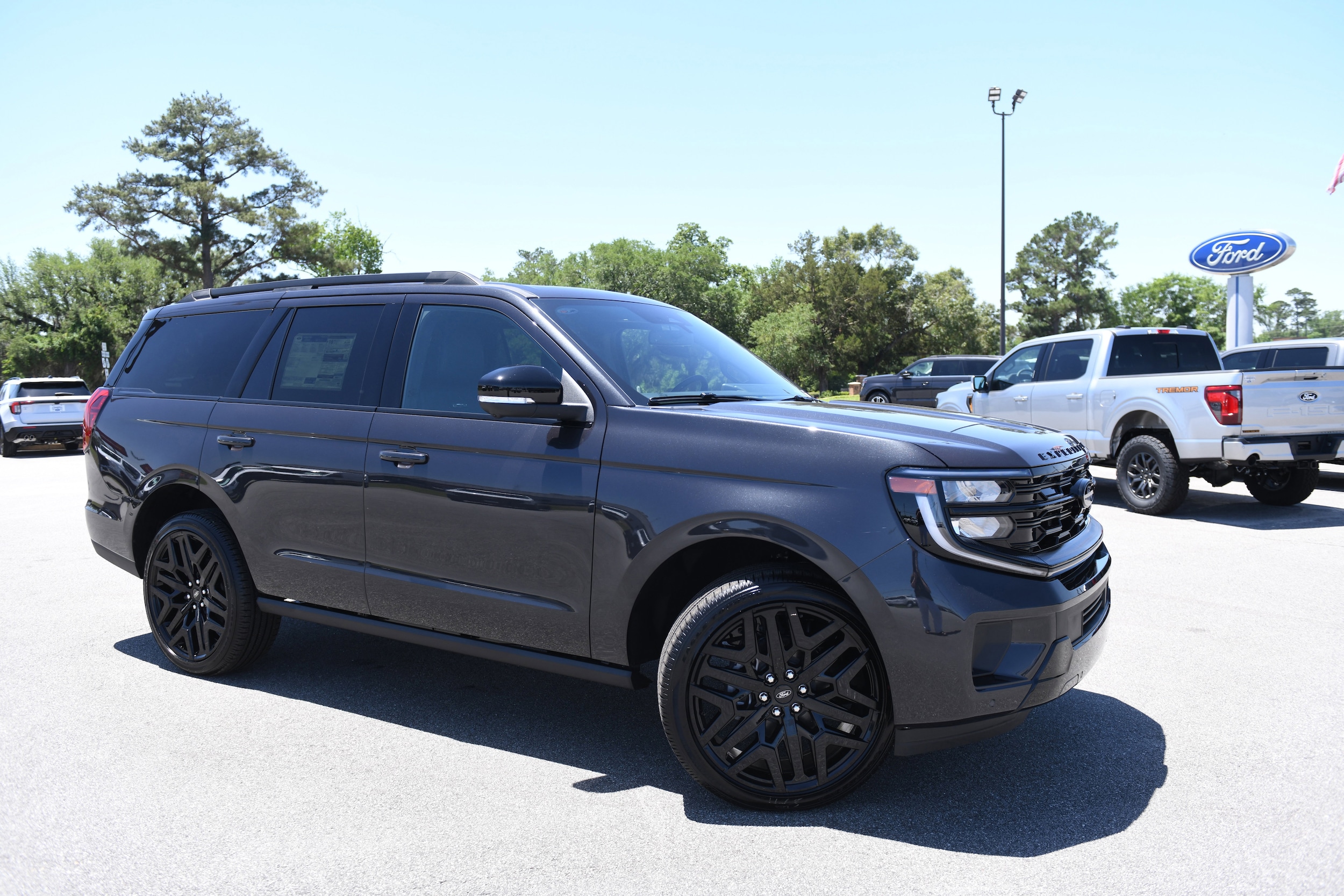 2026 Ford Expedition Platinum 4x4's photo