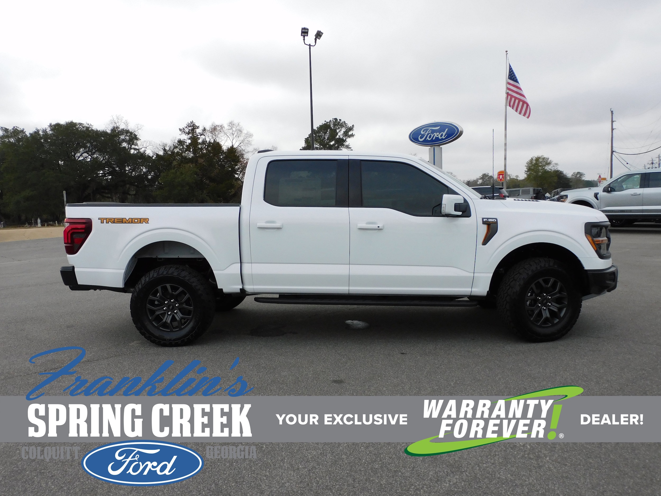 2025 Ford F-150 Tremor's photo