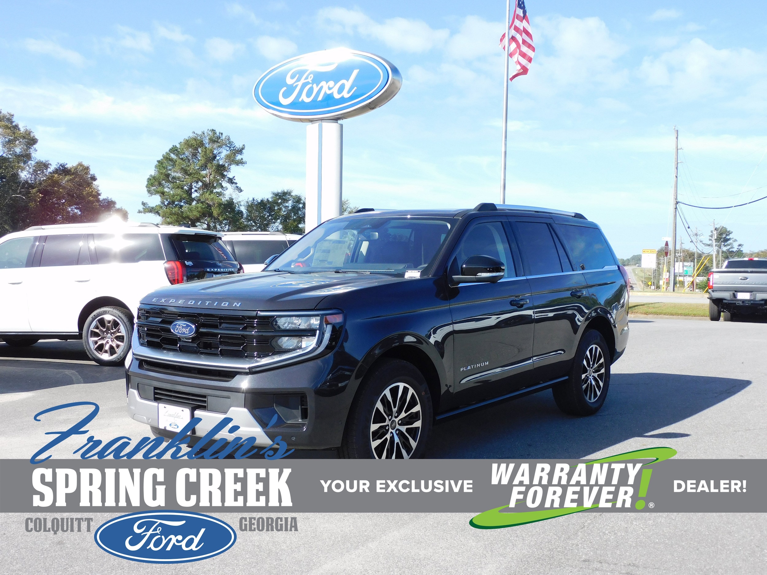 2025 Ford Expedition Platinum's photo