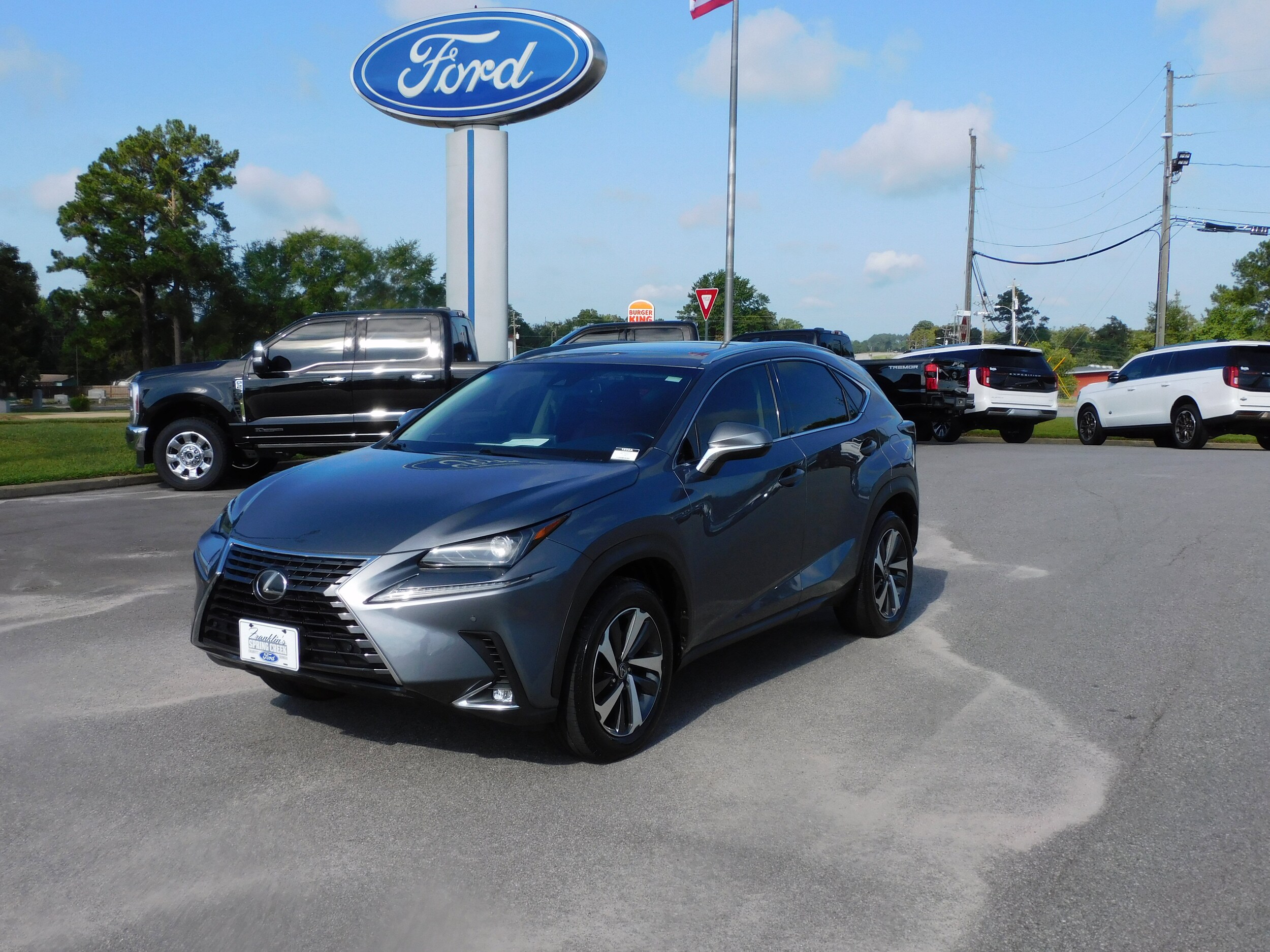 2018 Lexus NX 300 Luxury photo 2