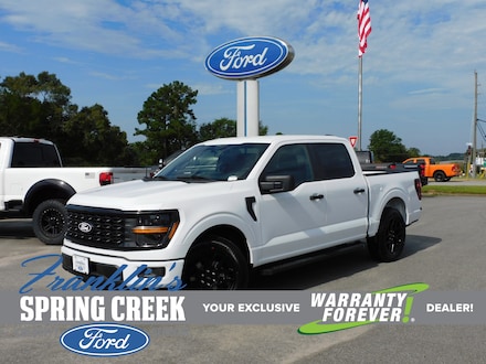 2025 Ford F-150 STX Truck