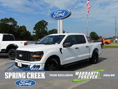 2025 Ford F-150 STX Truck