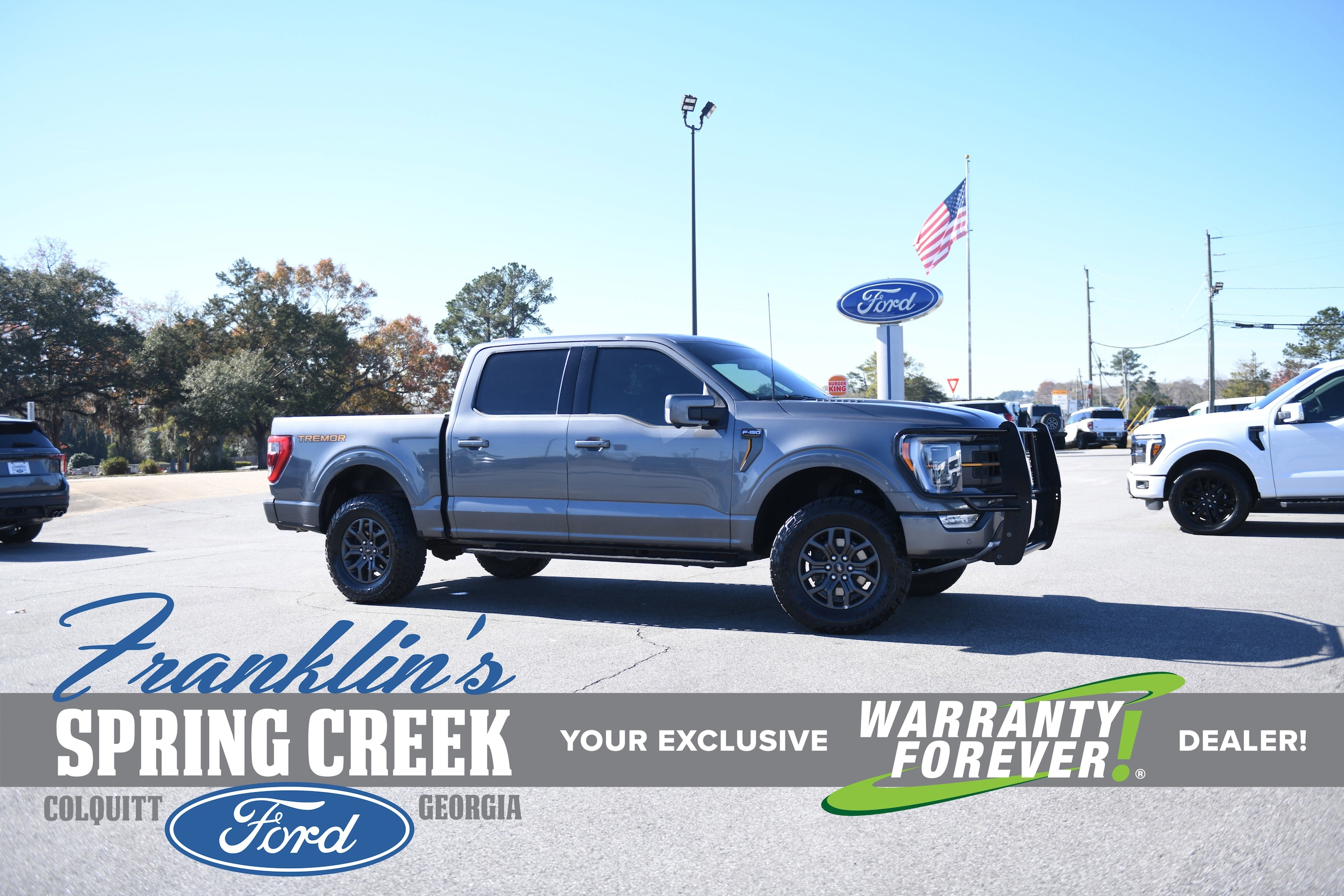 2023 Ford F-150 Tremor's photo