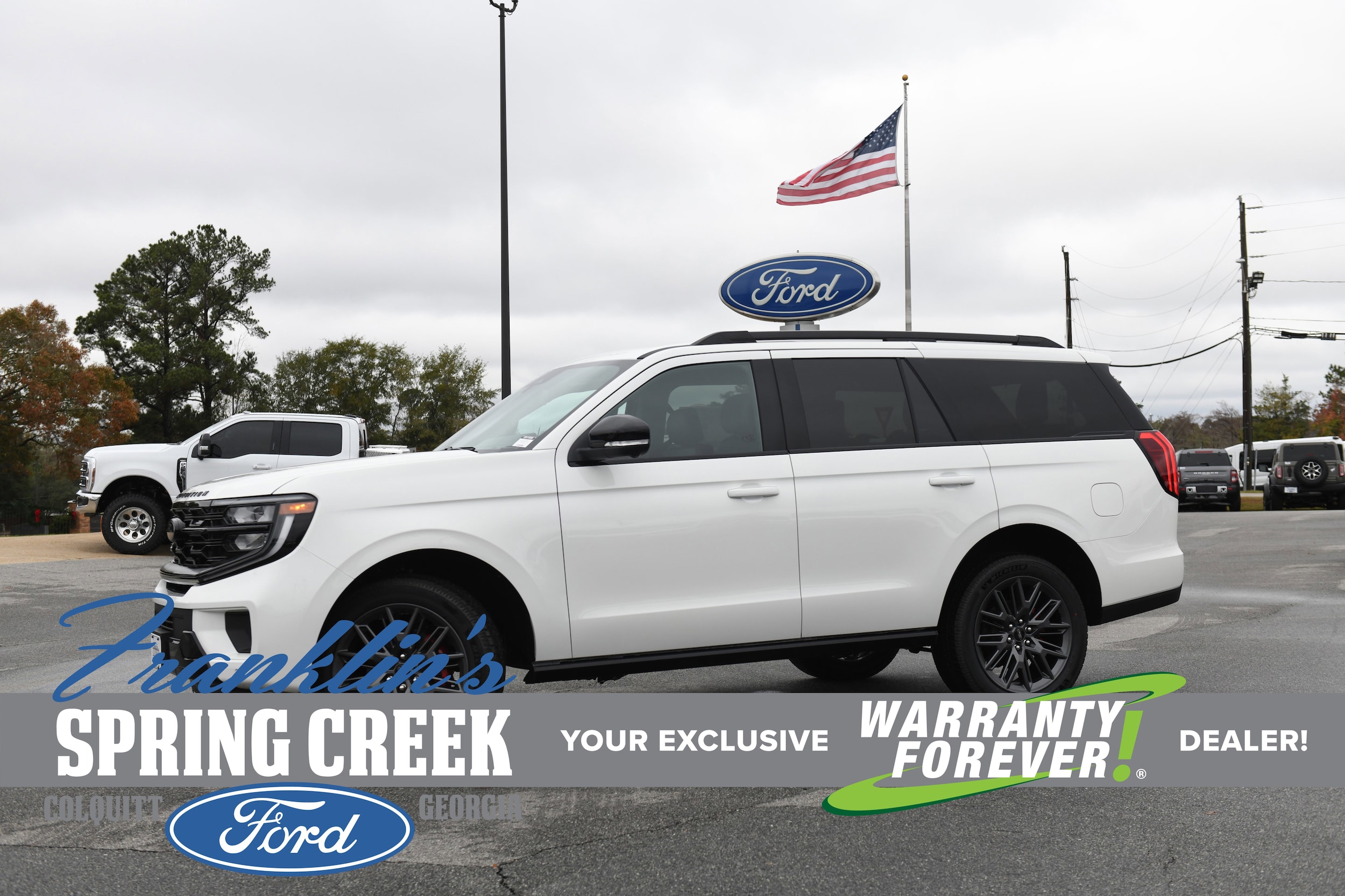 2025 Ford Expedition Platinum's photo