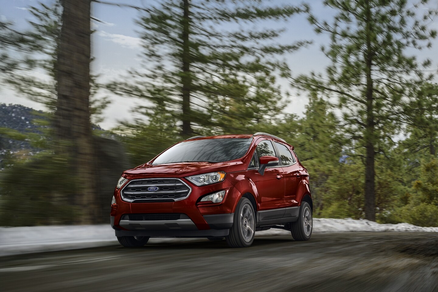 2020 EcoSport