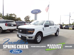 2025 Ford F-150 XL Truck