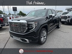 2025 GMC Sierra 1500 Denali Truck