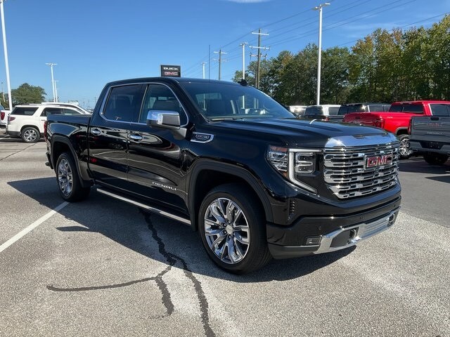 2022 Gmc Sierra 1500 Denali photo 3