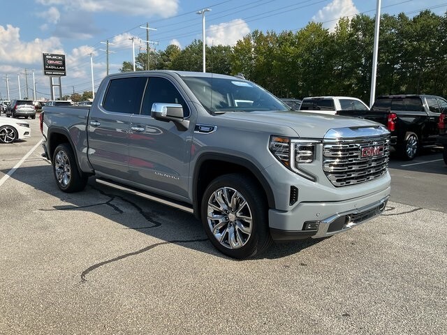 2025 Gmc Sierra 1500 Denali photo 3