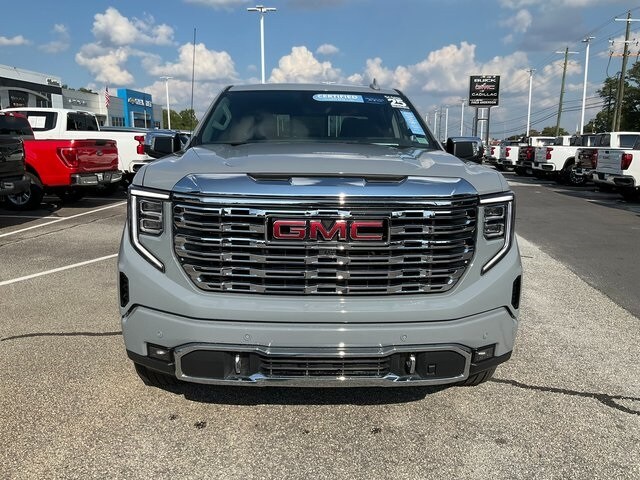 2025 Gmc Sierra 1500 Denali photo 2