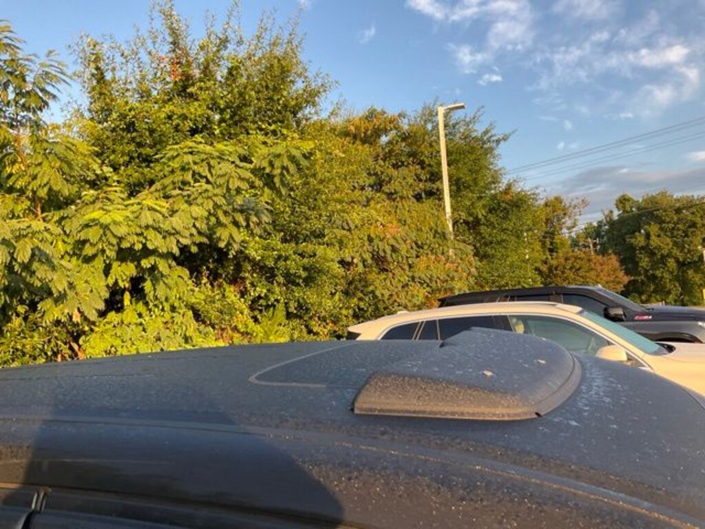 Certified 2022 Honda Passport EX-L FWD SUV