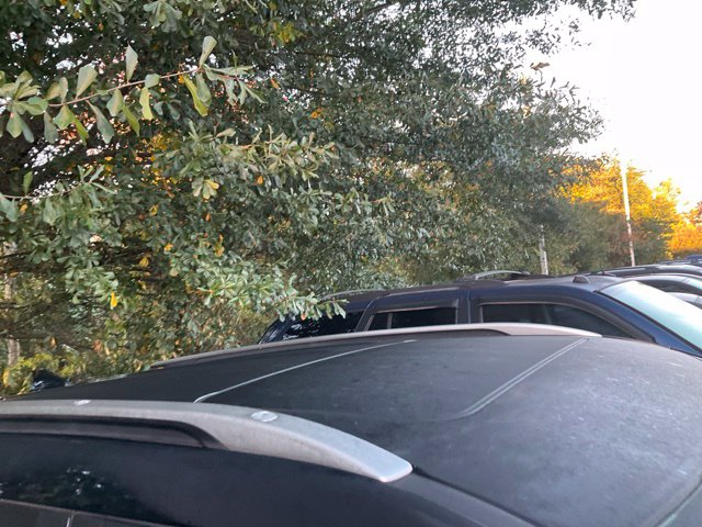 Used 2021 Kia Seltos SX SUV