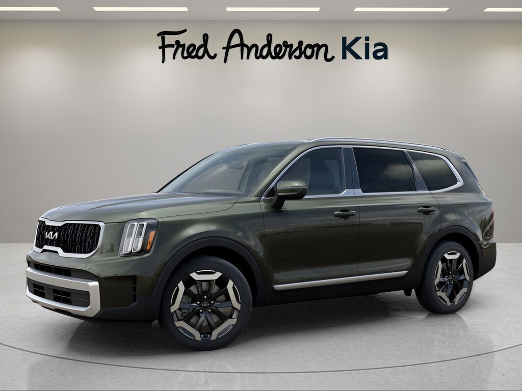 2025 Kia Telluride EX photo 3