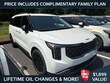 Kia Carnival Hybrid